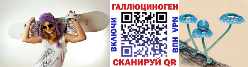 где продают наркотики  Дивногорск  Псилоцибиновые грибы ЛСД 