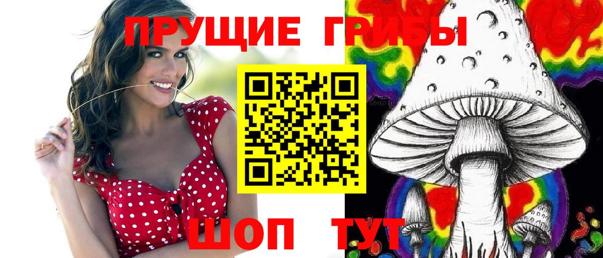 Псилоцибиновые грибы мицелий Дивногорск