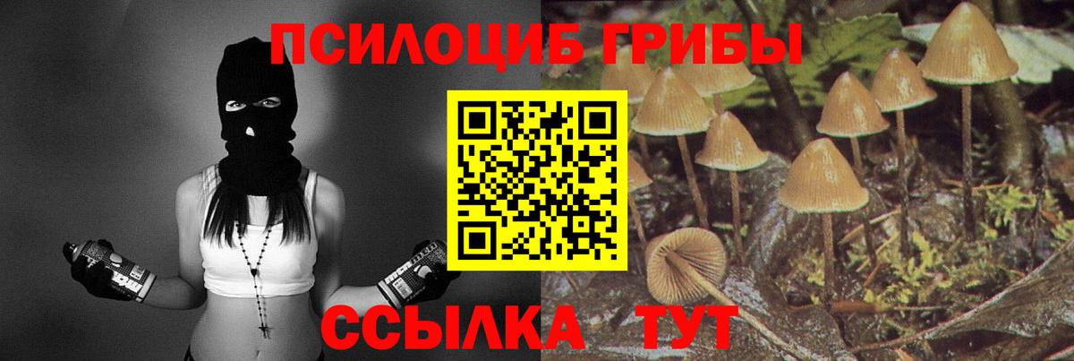 Галлюциногенные грибы GOLDEN TEACHER  Вход с VPN  Дивногорск 